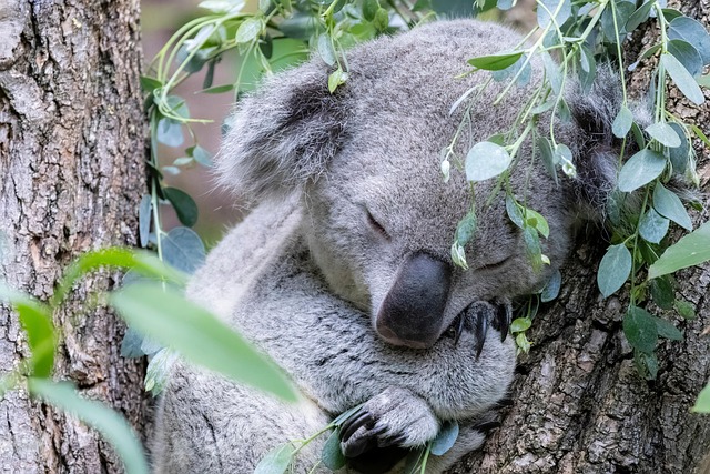 Stephanie Baker tweet media