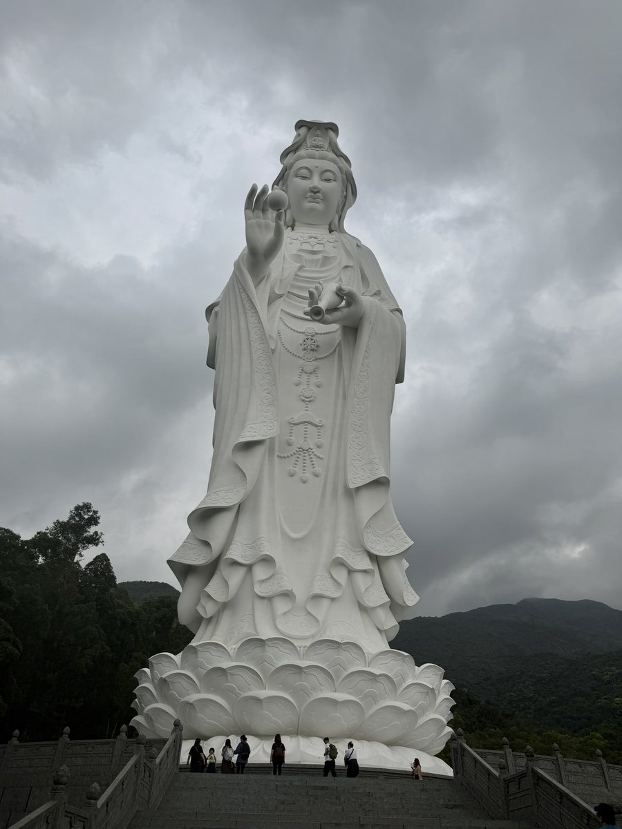 Amena Gul tweet media