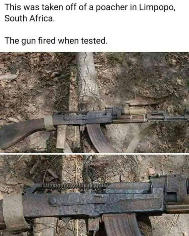 Rock Solid tweet media