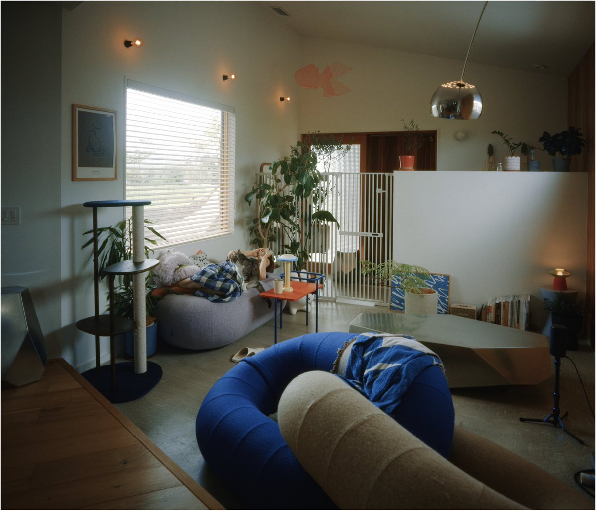 🌲📒🌲 tweet media