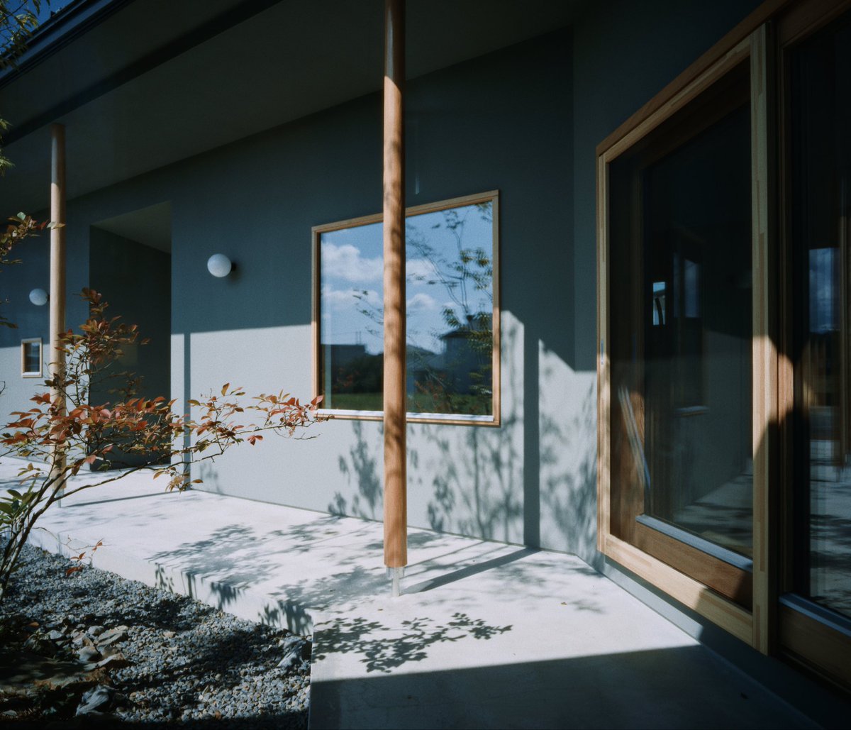 🌲📒🌲 tweet media