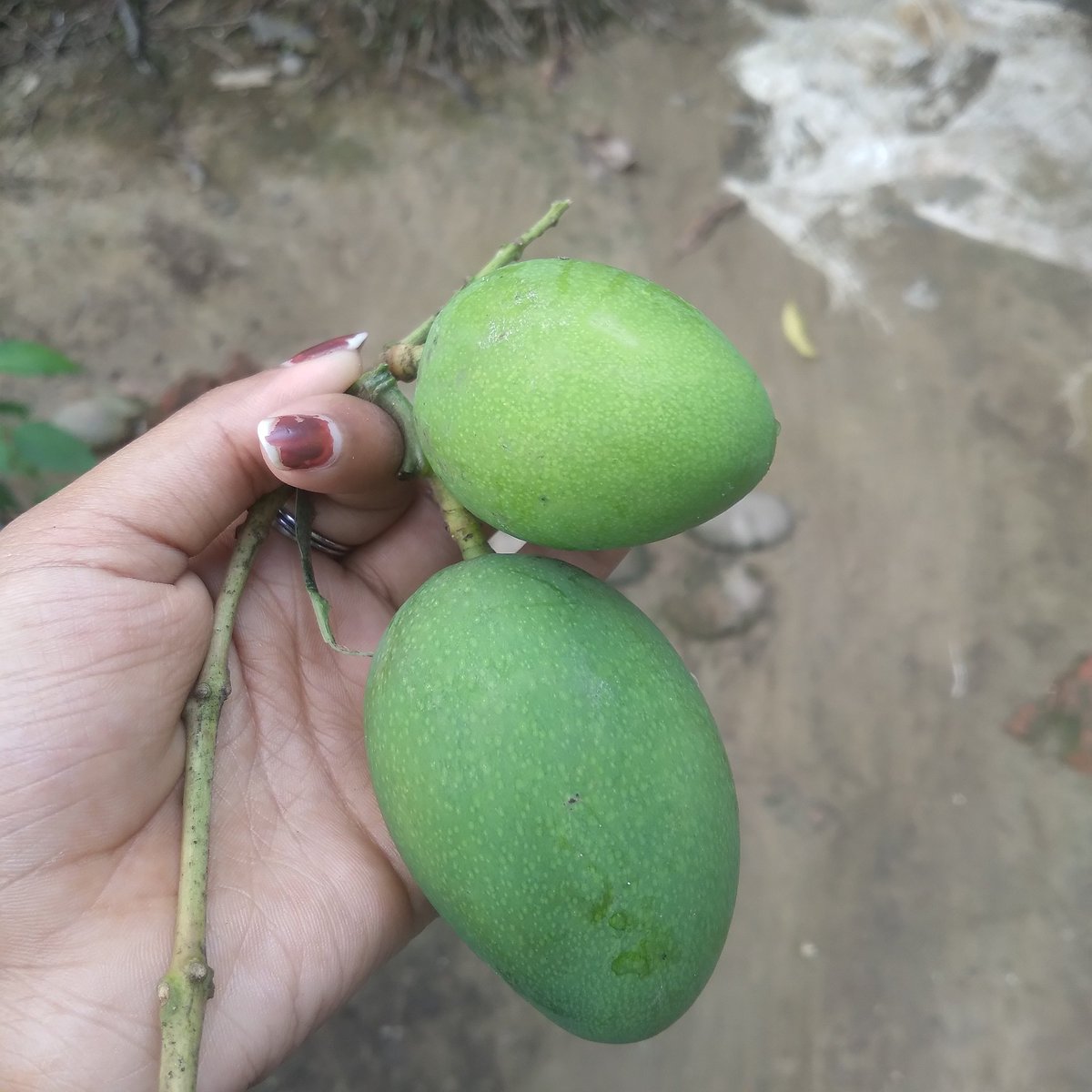 Sagarikaaa👩‍💻🌱 tweet media