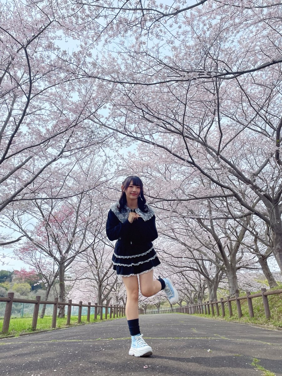 薄明かりん️( @𝘆𝗼𝘂𝘂𝘂𝘂𝘂!!! ) tweet media