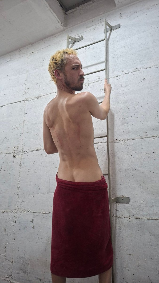 holek.at tweet media