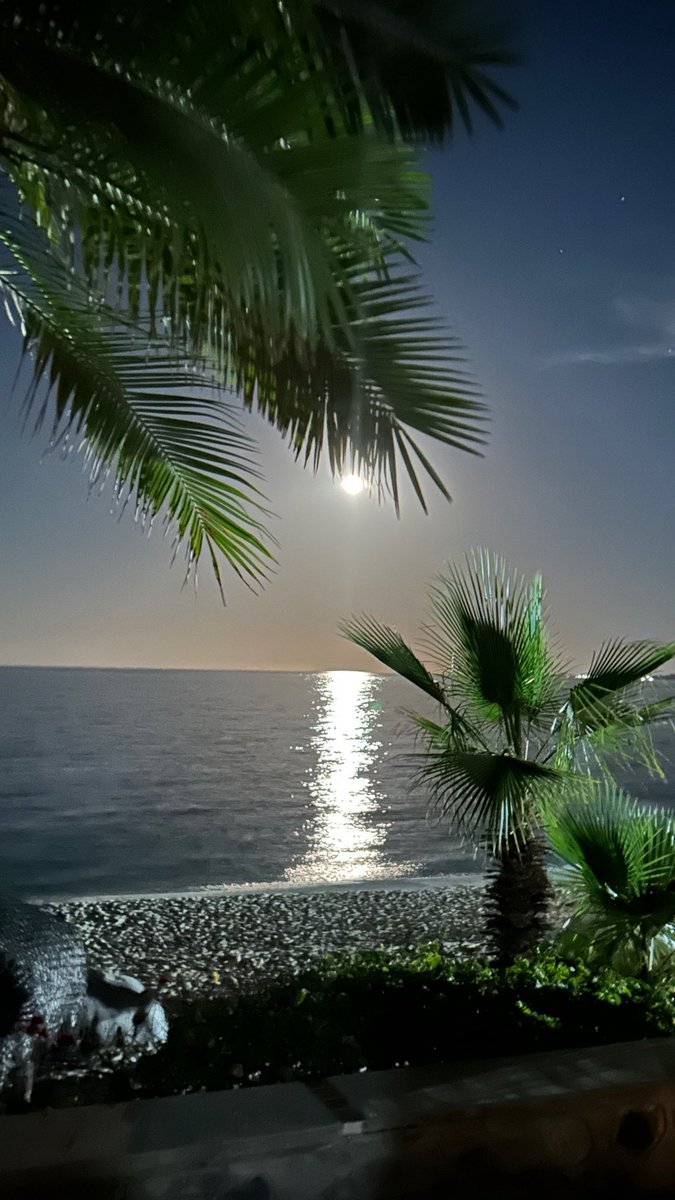 The Boss Lady 🇺🇸🚜✌️ tweet media