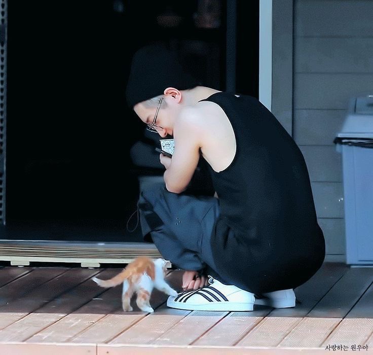 원원겸 🦋 tweet media