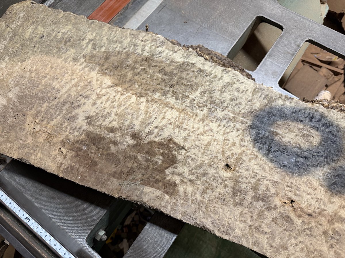 工房楔(公式) tweet media