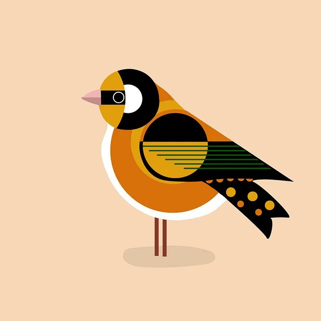 Chase Erickson tweet media