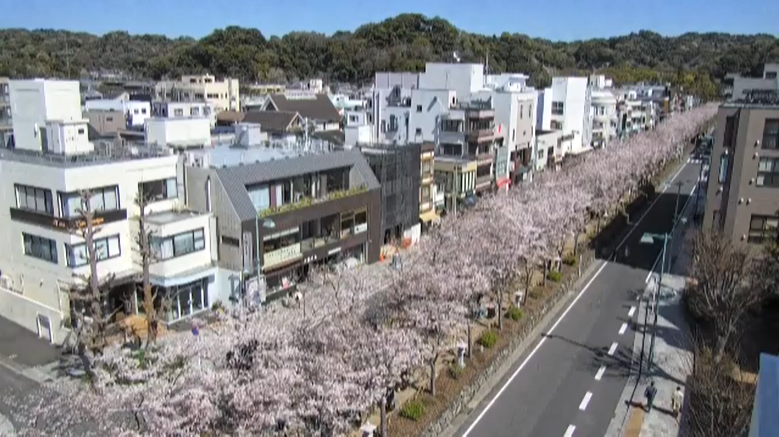 J:COMチャンネル・J:テレ tweet media