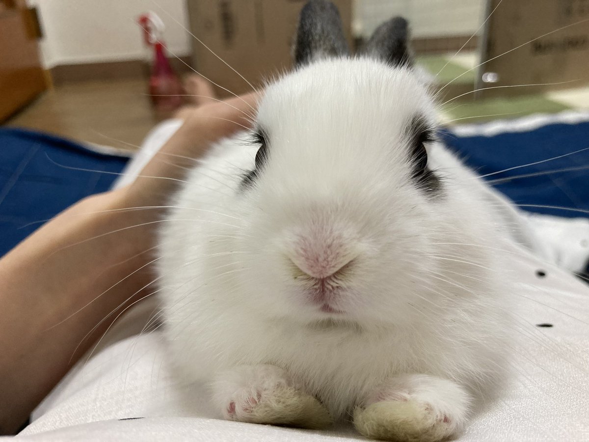 쥬쥬비비 tweet media