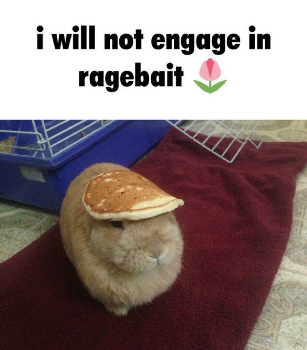 Bound📽️ tweet media