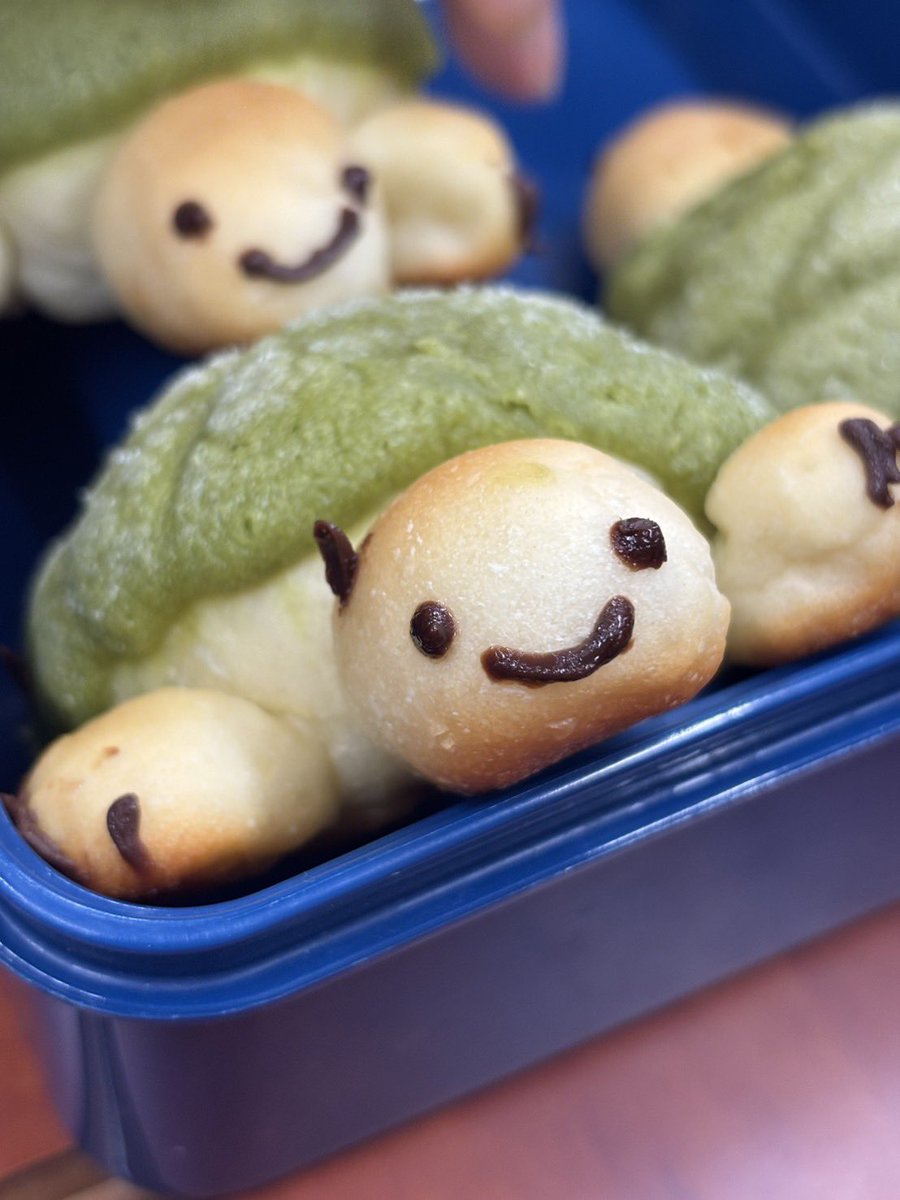 uni_cheese07's tweet photo. かめろんぱん🐢 https://t.co/6Ixmdp9lDb
