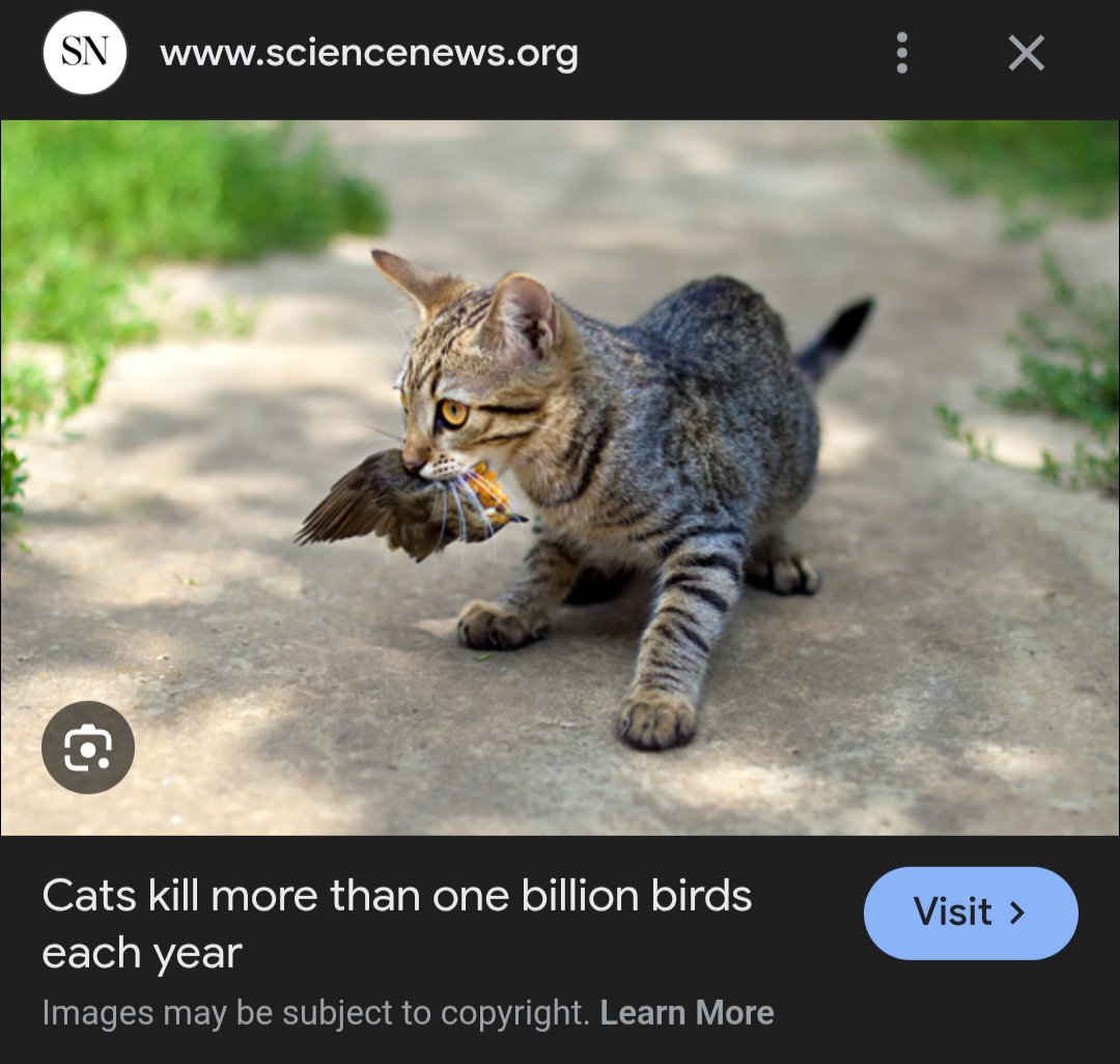 Gelli's top gal 🇺🇲🏳️‍⚧️🔻 tweet media