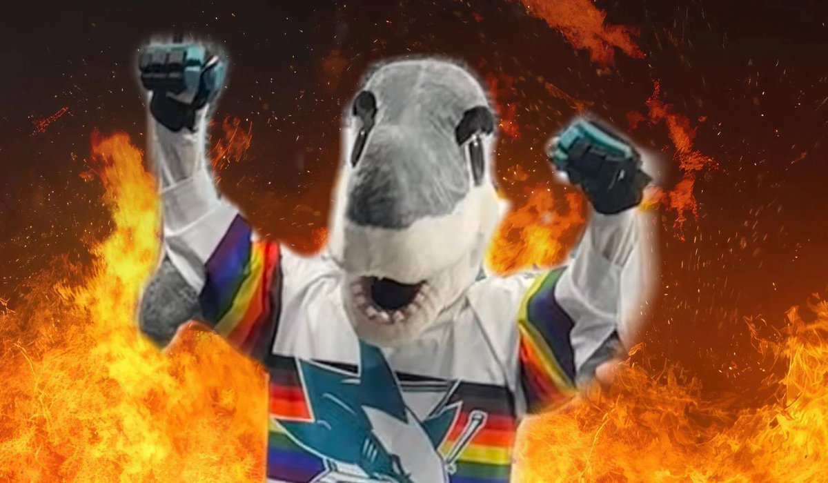 hay 🦈 tweet media