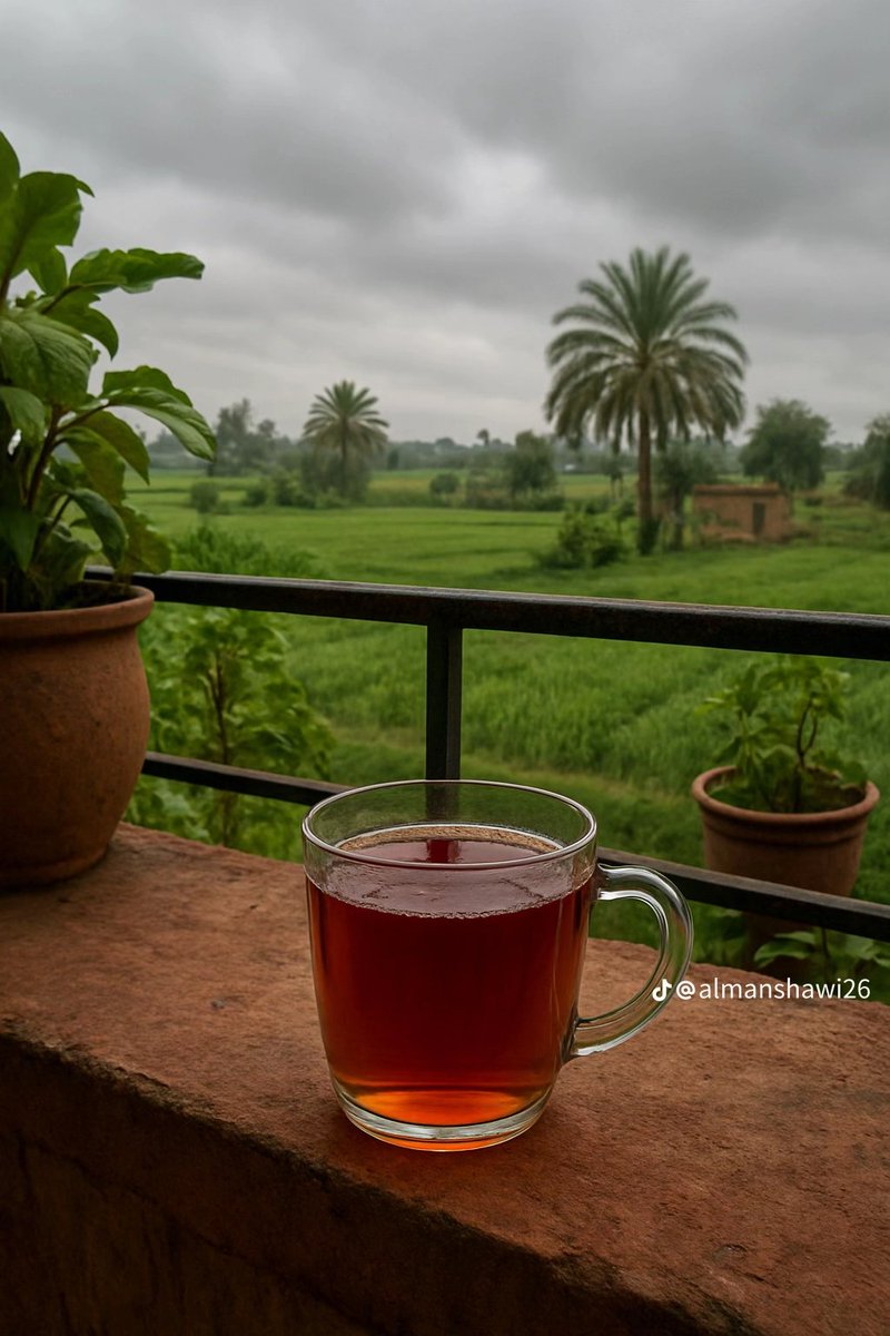 LAMIA 🇪🇬 tweet media