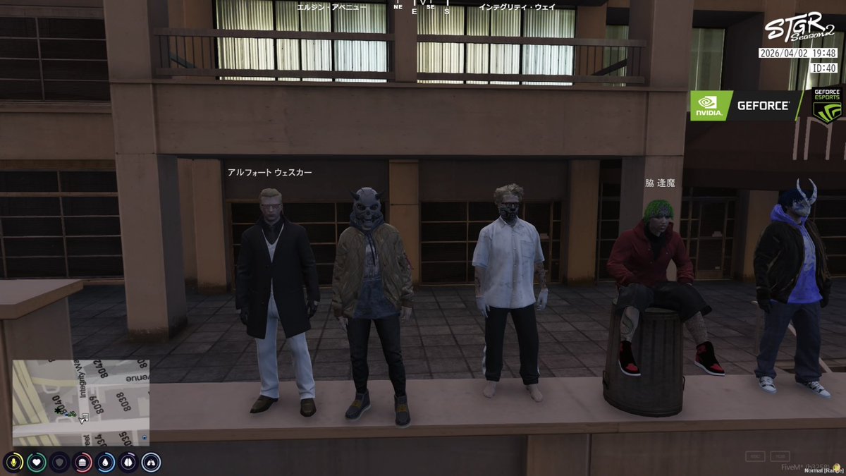 ミサゴ tweet media