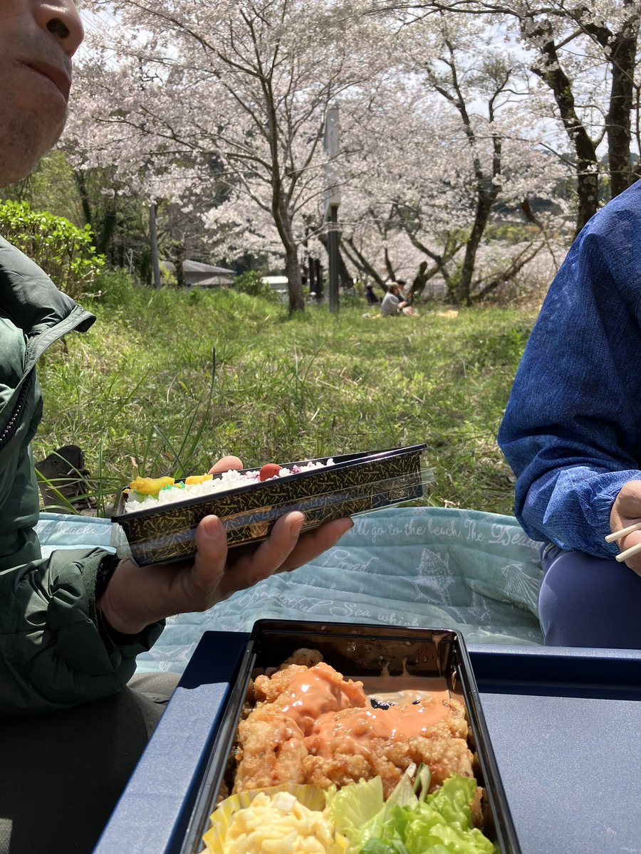 みーちゃん（RN.よさこい歴女） tweet media