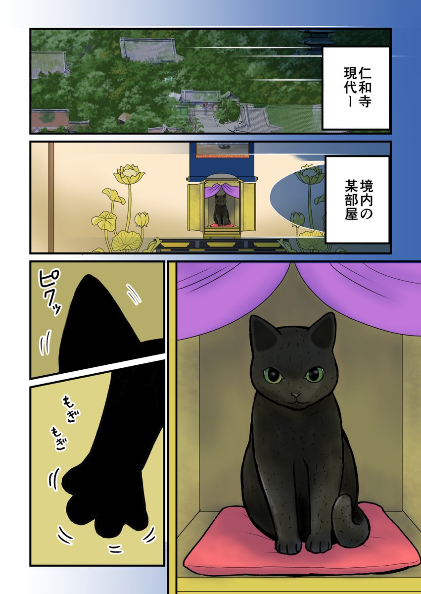 仁和寺の黒若丸 【公式】 tweet media