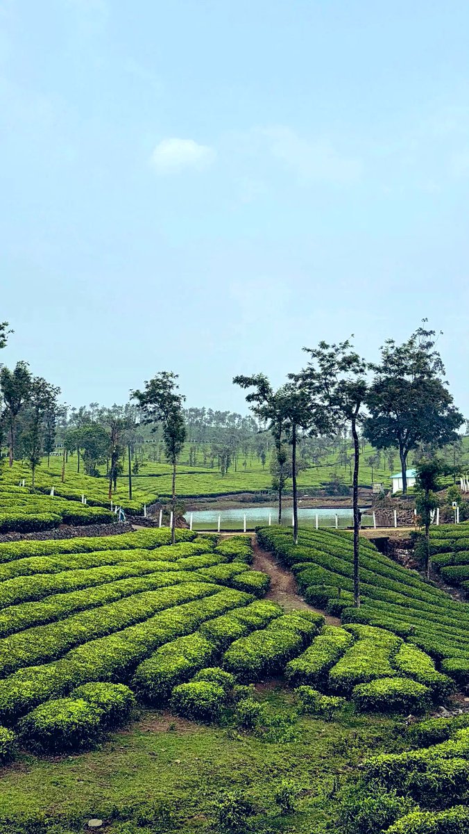 EXPLORING EARTH 🌍 tweet media