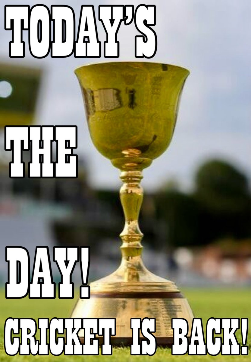 WG RumblePants tweet media