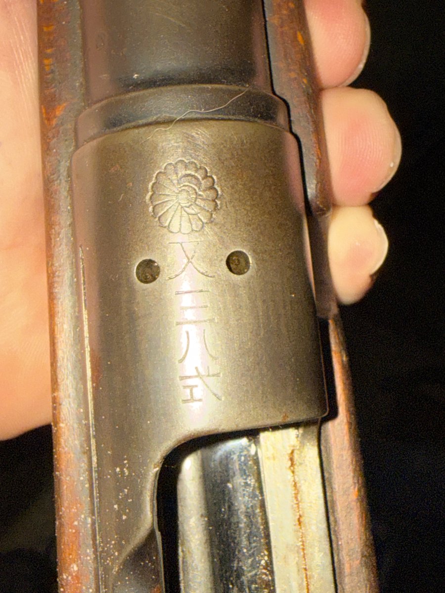 Steve 🇺🇸 tweet media