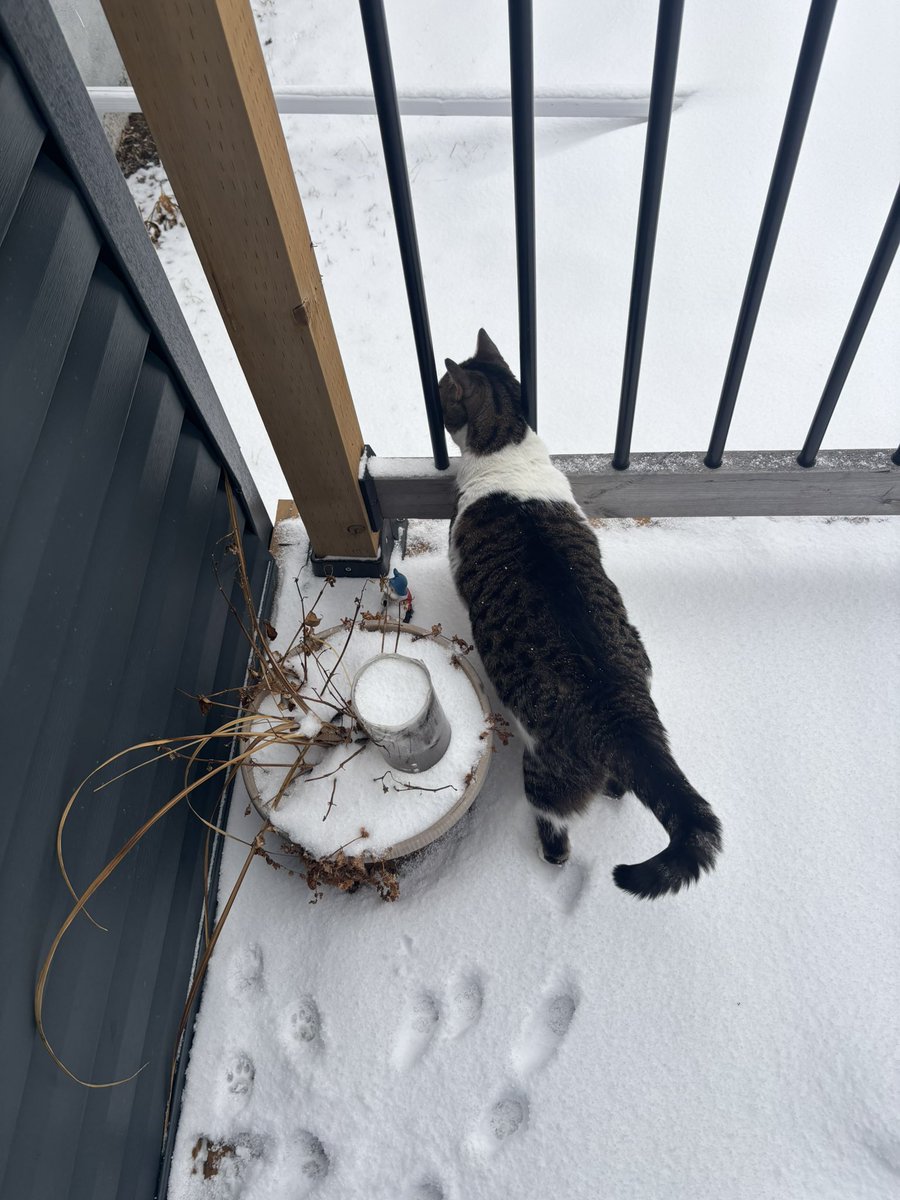 katie | pitt spoilers! tweet media