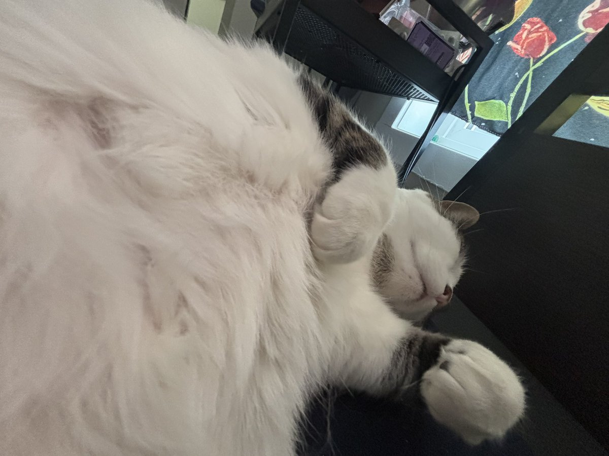 katie | pitt spoilers! tweet media