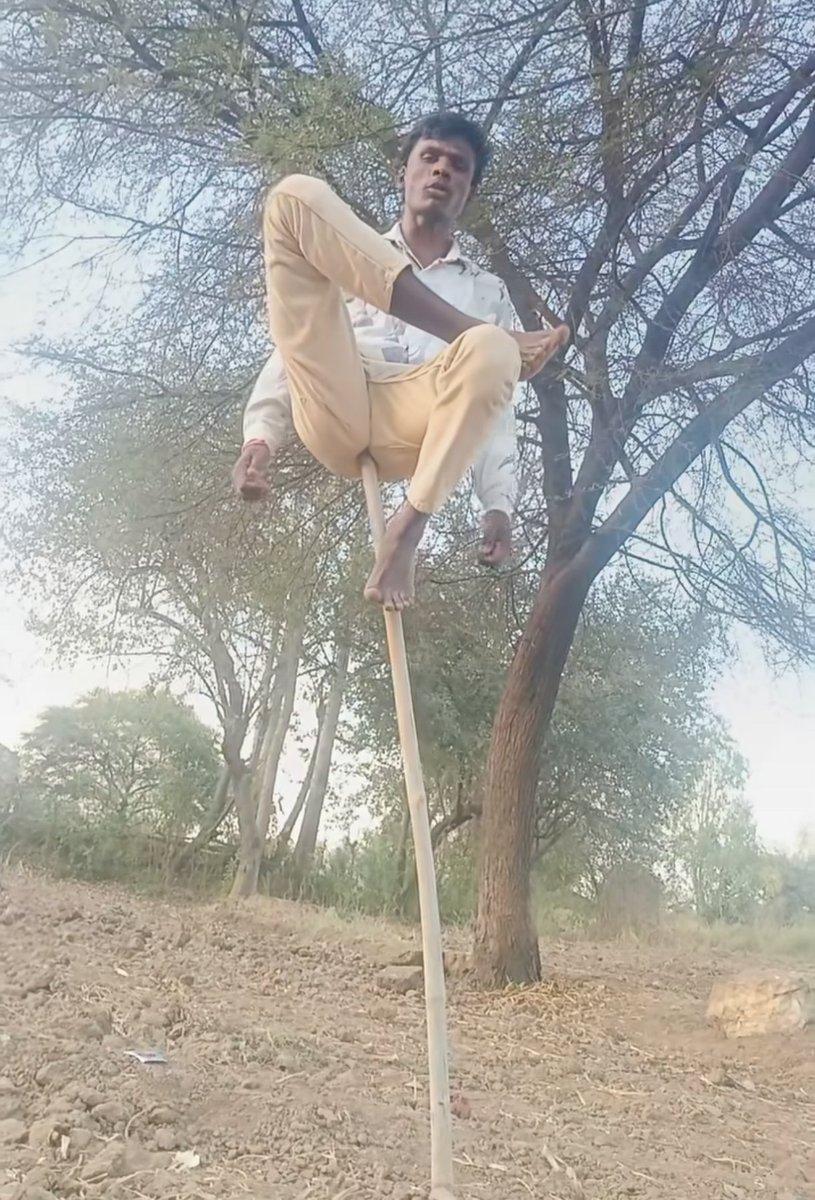 milanesaliberal tweet media