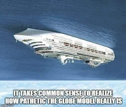 LifeofBrian tweet media