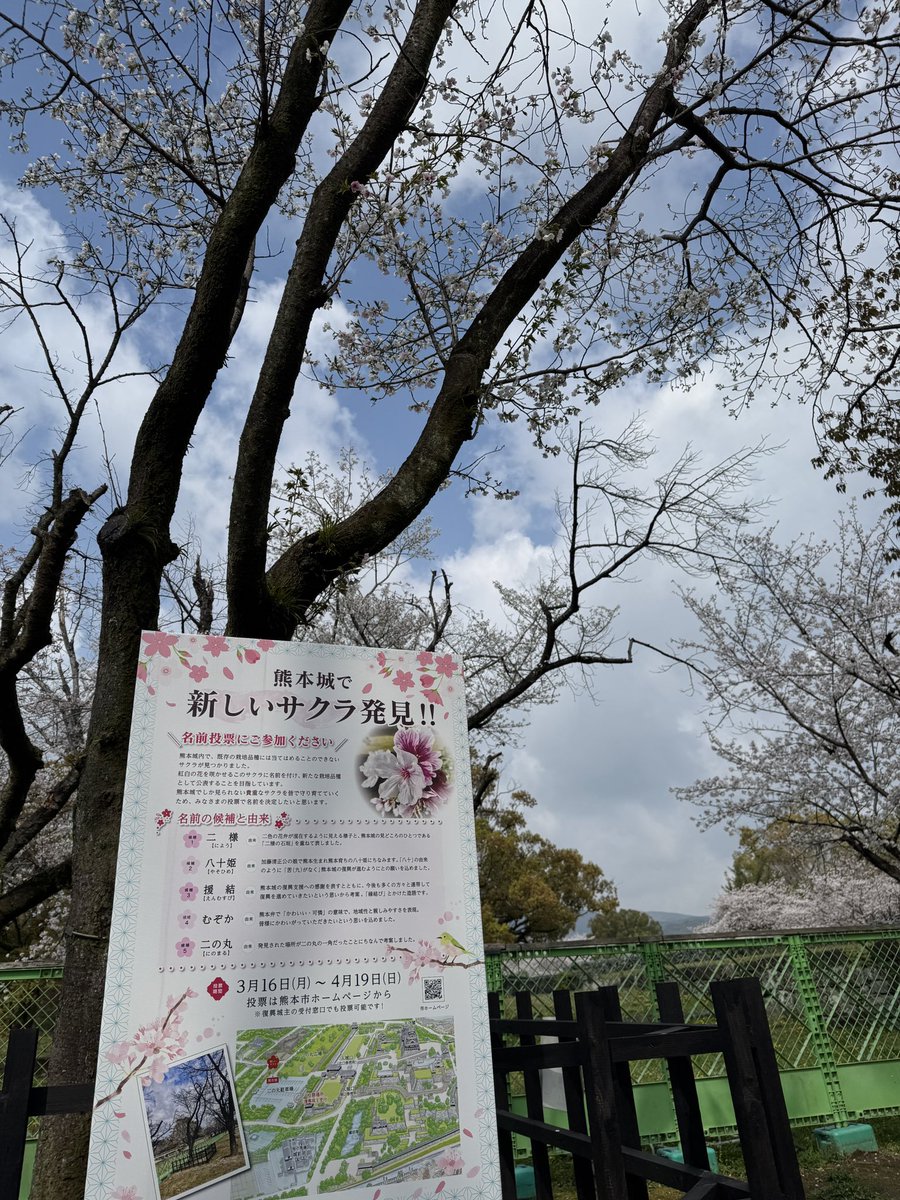 熊本城【公式】 tweet media