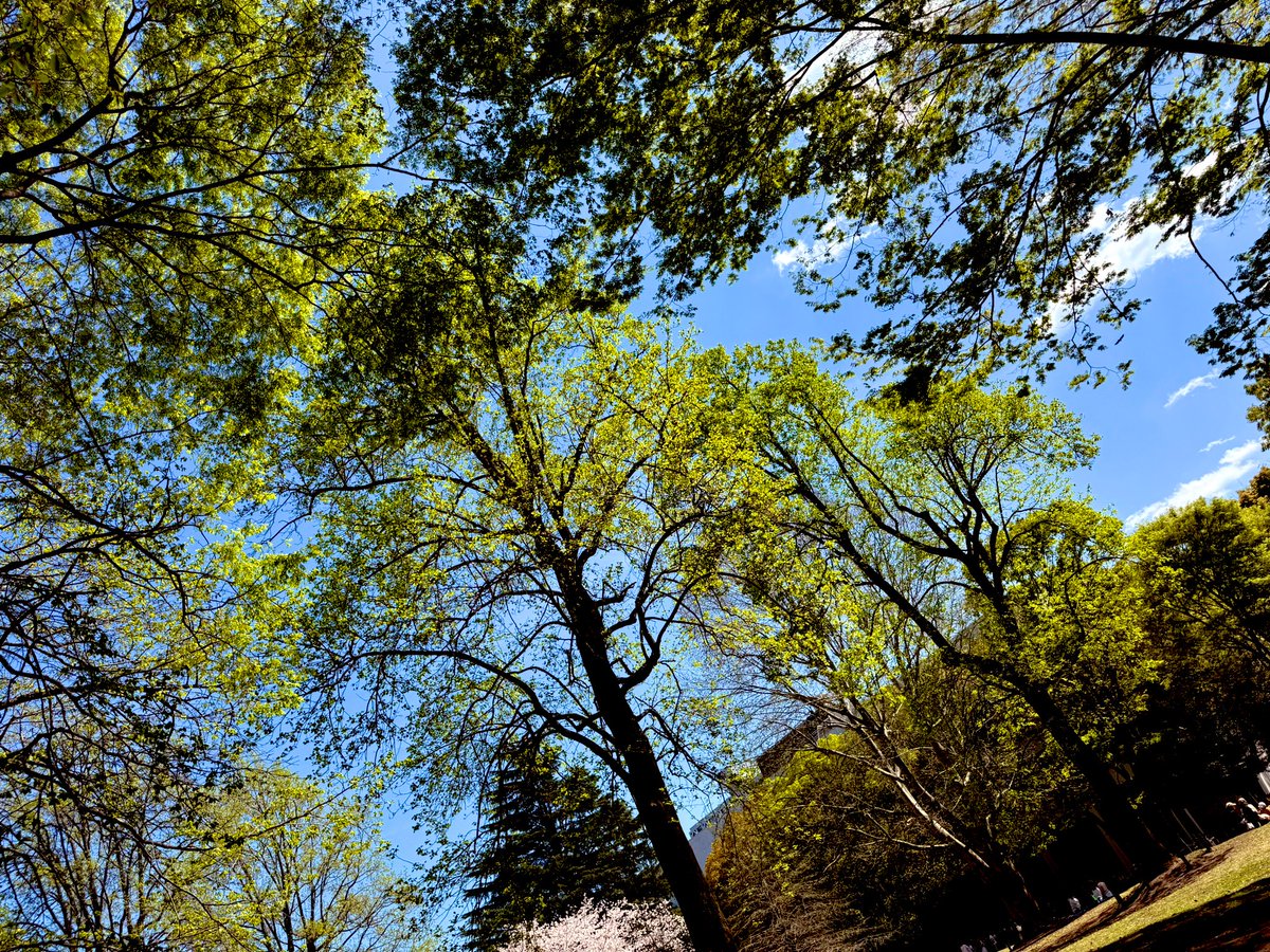 ルイ☪︎⋆。˚✩ tweet media