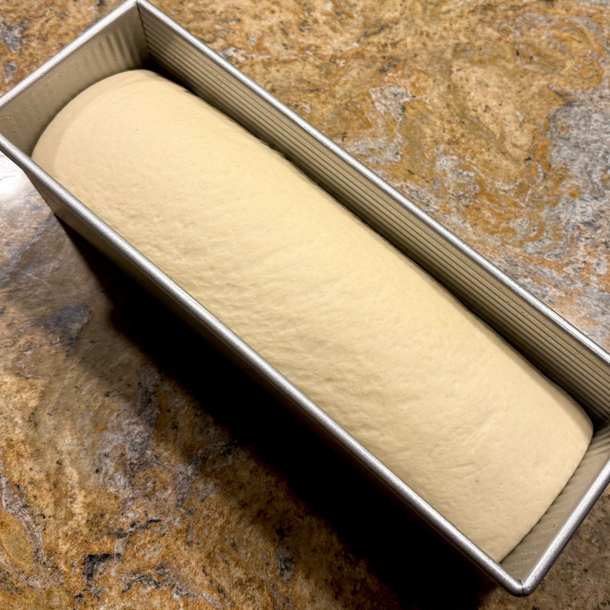 wizard girl tweet media