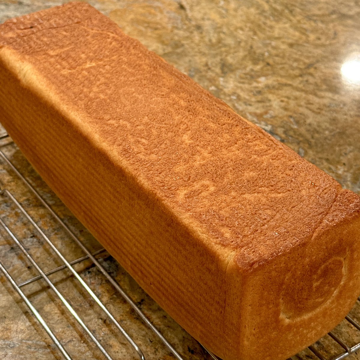 wizard girl tweet media