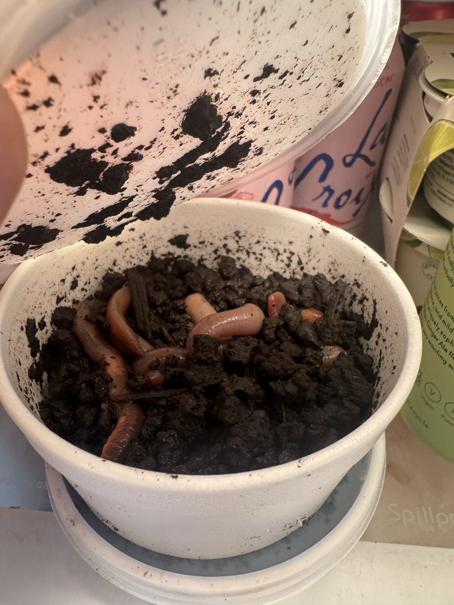 roger hayden tweet media