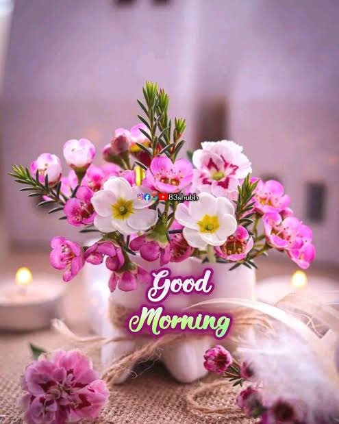 sarojkumar016's tweet image. ☀️ Good morning!
New day = New mindset = New results 💪✨
Make today count! #GoodMorning #StayPositive