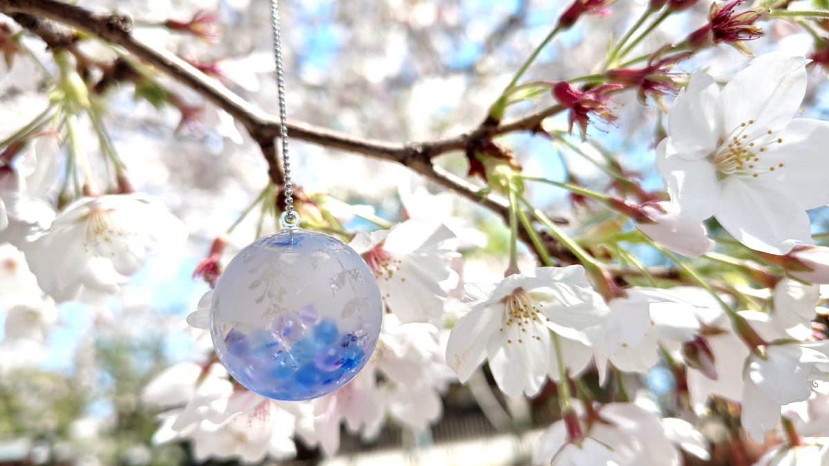 さくらといんこ tweet media