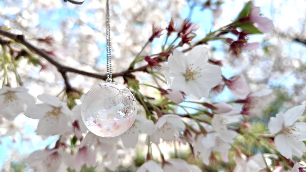 さくらといんこ tweet media