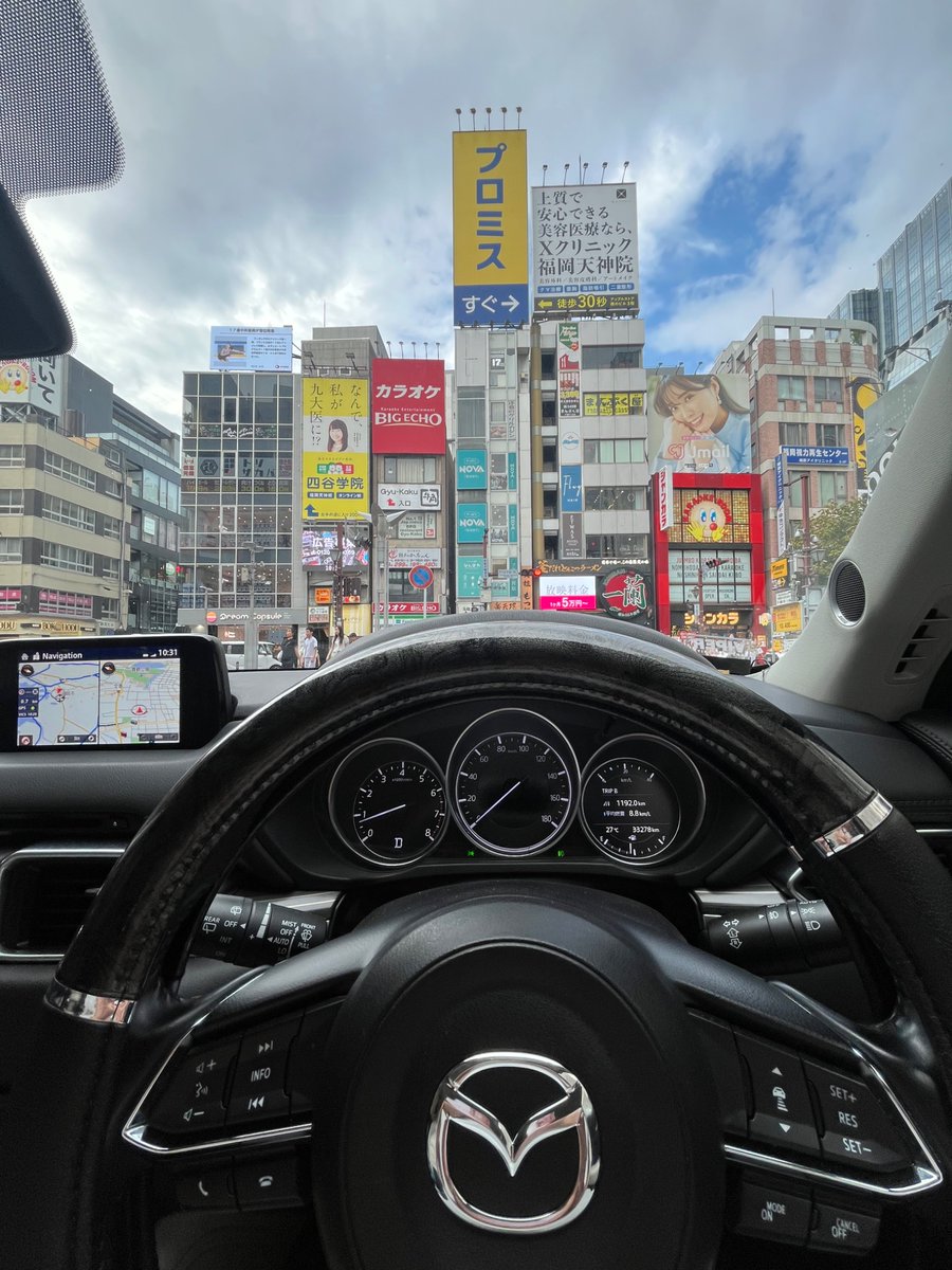 しのいずぴえん tweet media