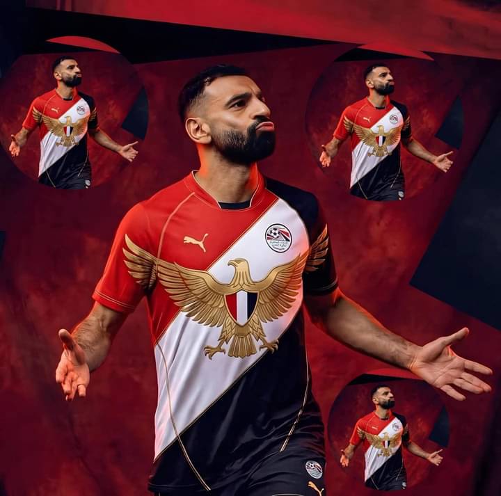 🌹Rogina🇪🇬 tweet media