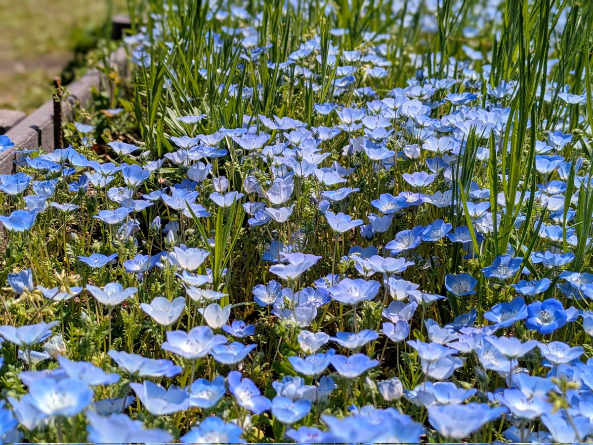 野兎🐰 tweet media