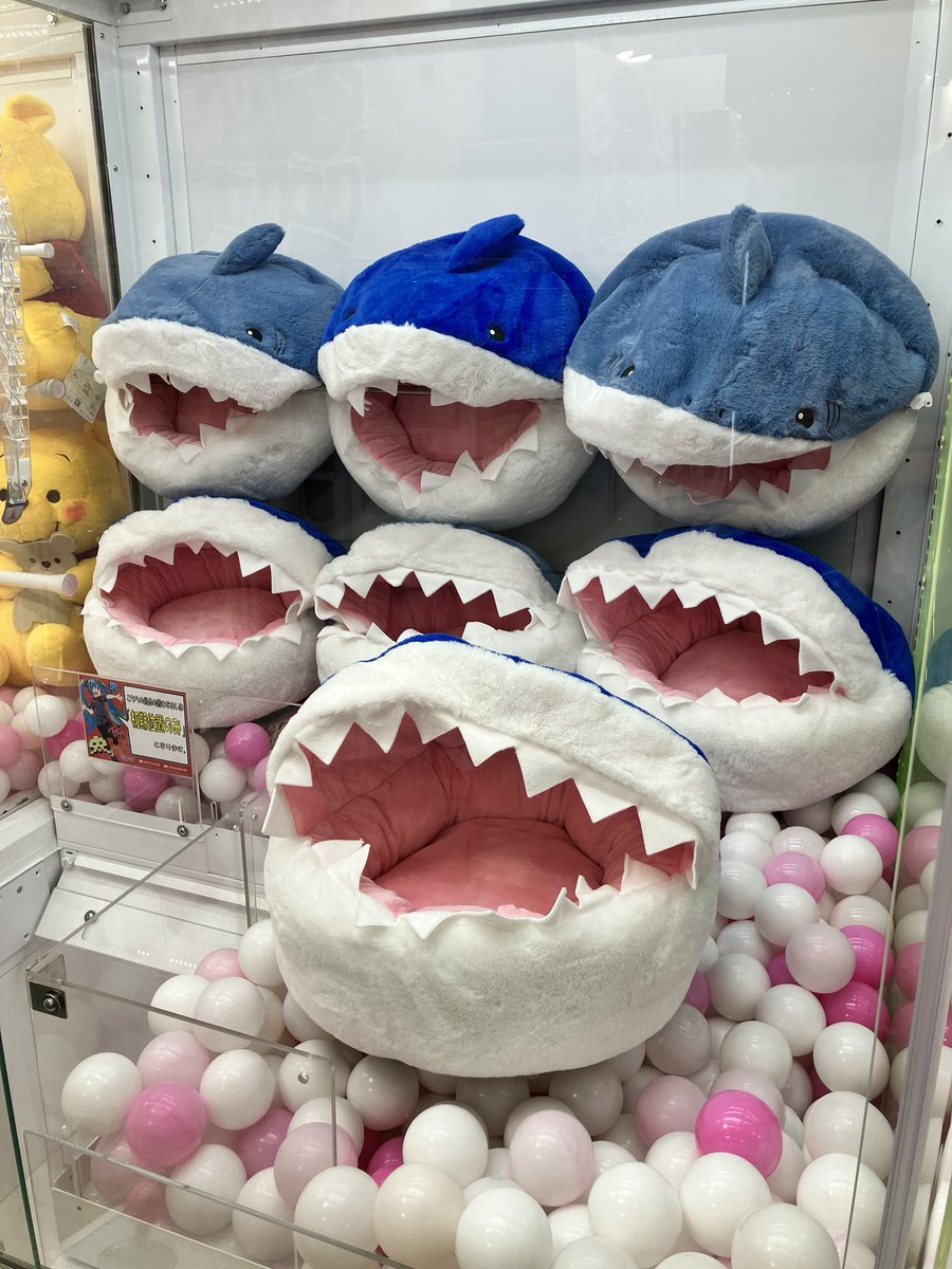 タイトーFステーション 吉祥寺JOY店 tweet media