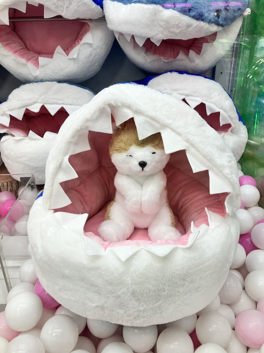 タイトーFステーション 吉祥寺JOY店 tweet media