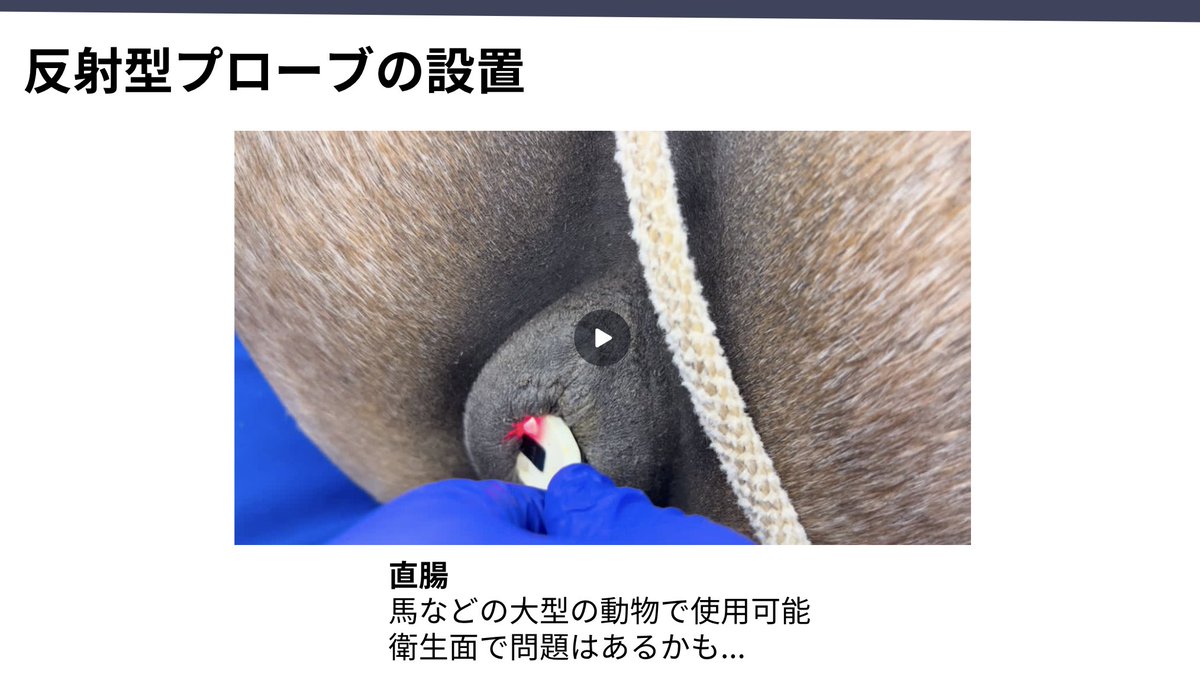 たくみ🇯🇵🇺🇸どうぶつの麻酔科医🩺⛰️ tweet media