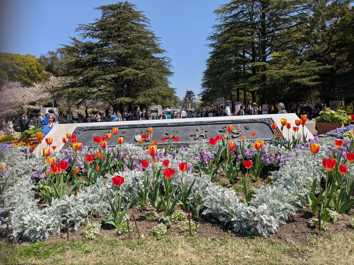 野兎🐰 tweet media