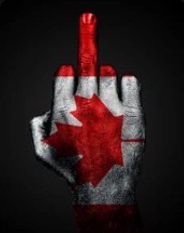 Marilyn tigerpuss Co tweet media