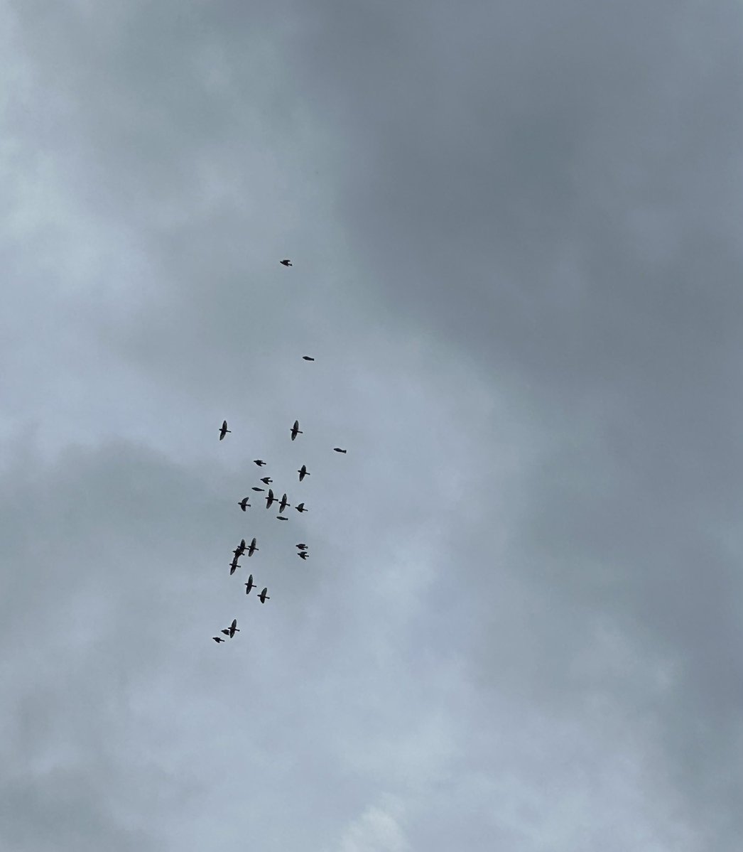 Nonentity. tweet media