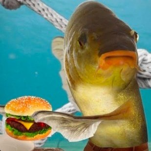 TrashTalk tweet media