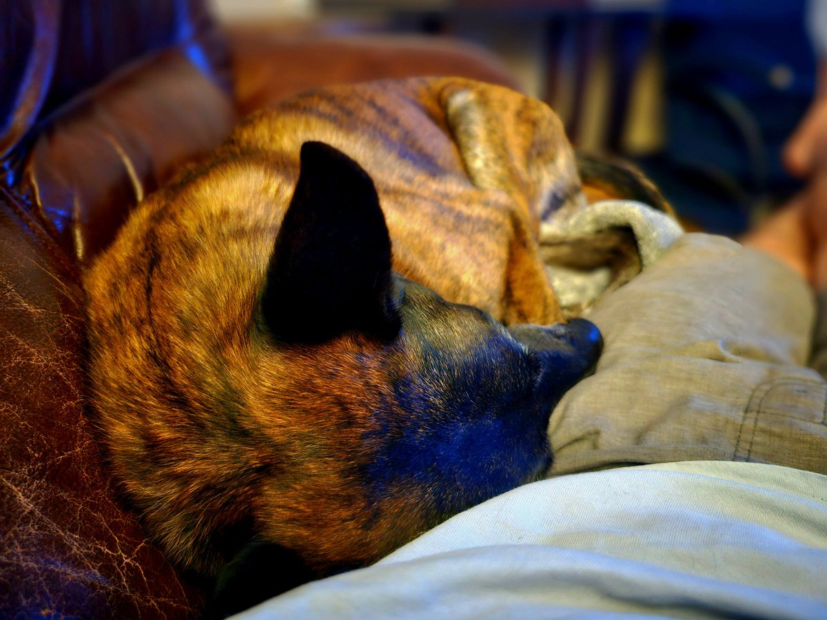 Zach Henderson tweet media