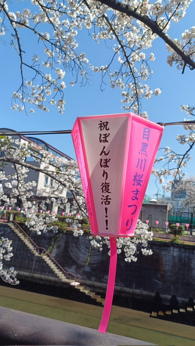 はかせ tweet media