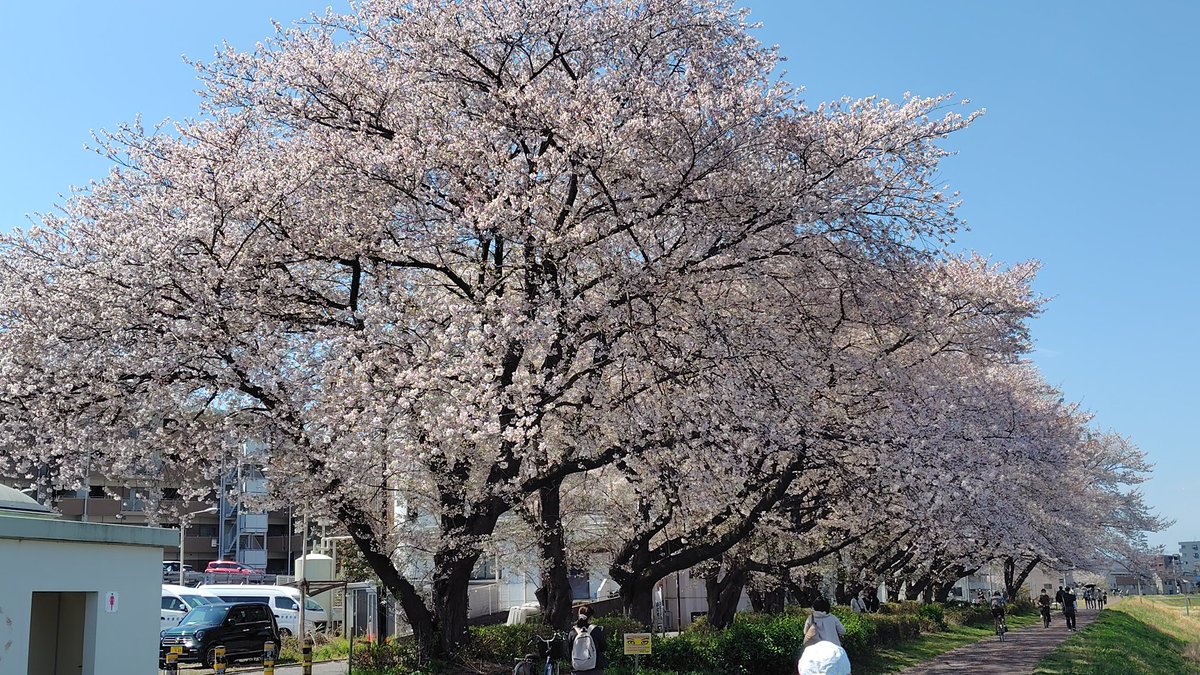 島 たかし(またの名を「バルたん」) JK1HSB tweet media